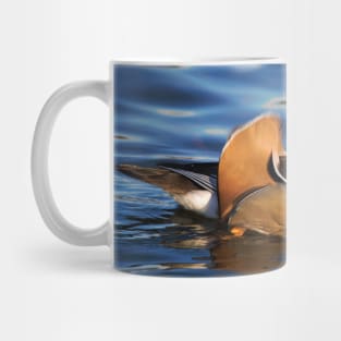 Beautiful Mandarin Duck at the Pond Mug